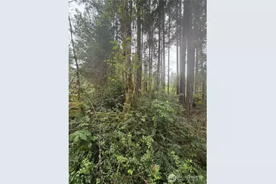 11928 Country Club Drive, Anderson Island, WA 98303 - Photo 12