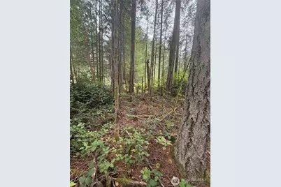 11928 Country Club Drive, Anderson Island, WA 98303 - Photo 6