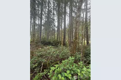 11928 Country Club Drive, Anderson Island, WA 98303 - Photo 8
