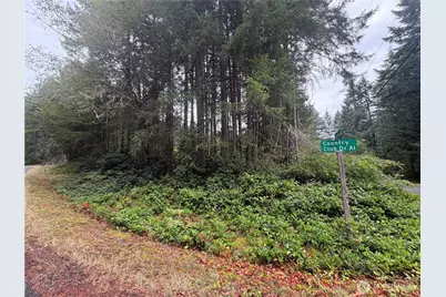 11928 Country Club Drive, Anderson Island, WA 98303 - Photo 2