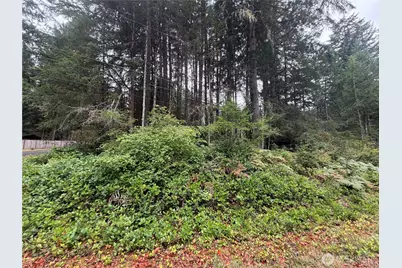11928 Country Club Drive, Anderson Island, WA 98303 - Photo 10