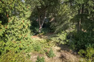 14262 SE Eastgate Dr, Bellevue, WA 98006 - Photo 12