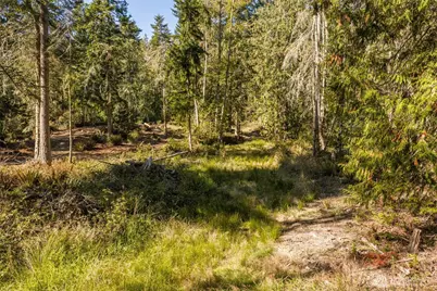 144 Took A Look Lane, Sequim, WA 98382 - Photo 14