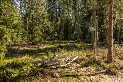 144 Took A Look Lane, Sequim, WA 98382 - Photo 10