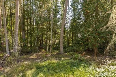 144 Took A Look Lane, Sequim, WA 98382 - Photo 12