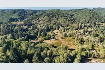 273 Pioneer Creek Lane, Cosmopolis, WA 98537 - Photo 20