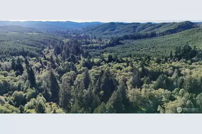 273 Pioneer Creek Lane, Cosmopolis, WA 98537 - Photo 16