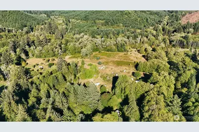 273 Pioneer Creek Lane, Cosmopolis, WA 98537 - Photo 18
