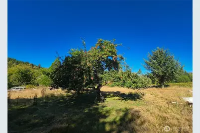 273 Pioneer Creek Lane, Cosmopolis, WA 98537 - Photo 12