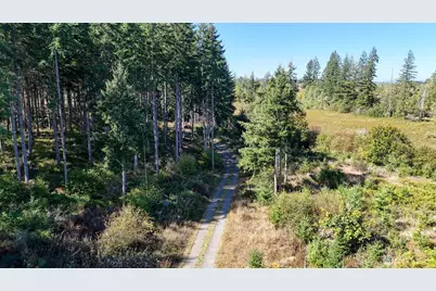 13409 Algyer Road SE, Rainier, WA 98576 - Photo 4