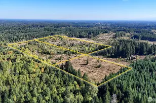 13409 Algyer Rd SE, Rainier, WA 98576 - Photo 1