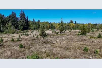 13409 Algyer Road SE, Rainier, WA 98576 - Photo 18