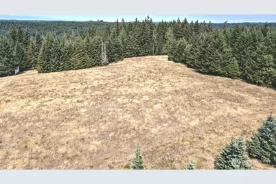8391 E State Route 3, Shelton, WA 98584 - Photo 1