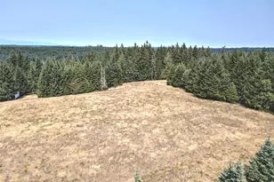 8391 E State Route 3, Shelton, WA 98584 - Photo 1
