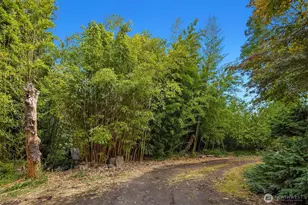 4520 47th Ave S, Seattle, WA 98118 - Photo 26