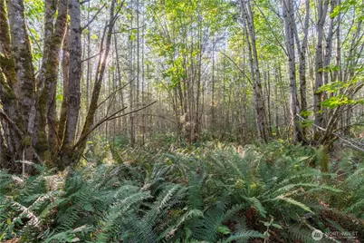 0 Lind Road, Port Townsend, WA 98368 - Photo 16