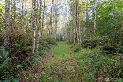 0 Lind Road, Port Townsend, WA 98368 - Photo 6