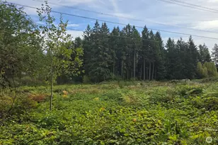 30420 164th Ave SE, Auburn, WA 98092 - Photo 36