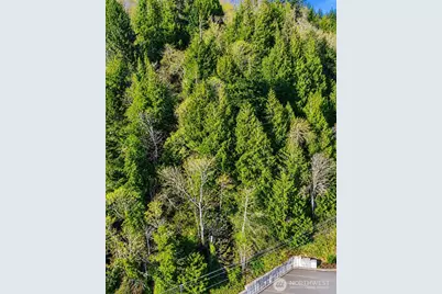 0 Summit Street, Aberdeen, WA 98520 - Photo 4