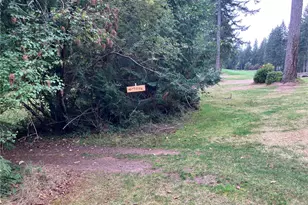 141 E Dunoon Pl, Shelton, WA 98584 - Photo 24