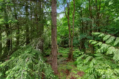 140 Windward Drive, Bellingham, WA 98229 - Photo 32