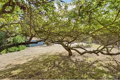 0 Garfield Street, Port Townsend, WA 98368 - Photo 12