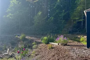 141 E Ellinor Peak Pl, Belfair, WA 98528 - Photo 30
