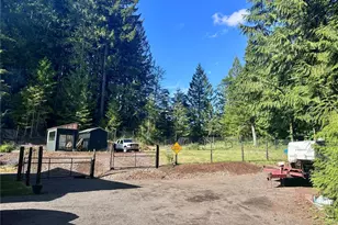 141 E Ellinor Peak Pl, Belfair, WA 98528 - Photo 32