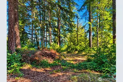 1961 E Trails End Drive, Belfair, WA 98528 - Photo 10