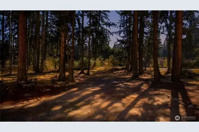 440 W Silberhorn Road, Sequim, WA 98382 - Photo 38