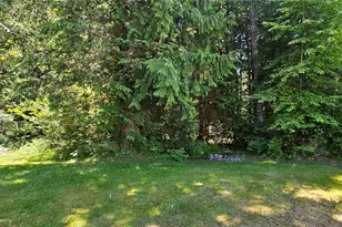 113 Skinner Rd, Randle, WA 98377 - Photo 30