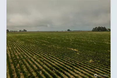 0 Leque Road, Stanwood, WA 98292 - Photo 8