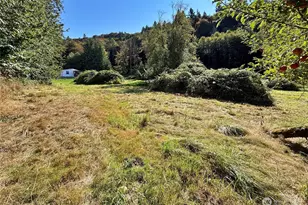 451 Green Mountain Rd, Mossyrock, WA 98564 - Photo 26