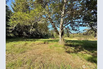 451 Green Mountain Road, Mossyrock, WA 98564 - Photo 24