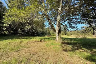 451 Green Mountain Rd, Mossyrock, WA 98564 - Photo 24