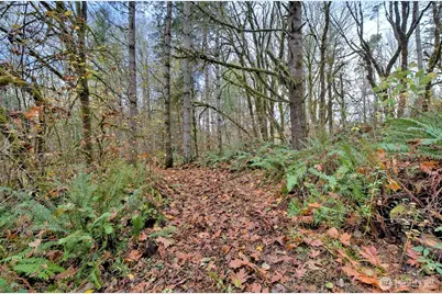 120 SE Sells Drive, Shelton, WA 98584 - Photo 18