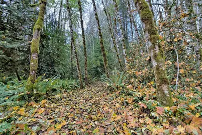 120 SE Sells Drive, Shelton, WA 98584 - Photo 16