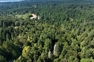 3516 80th Ave Ct NW, Gig Harbor, WA 98335 - Photo 38