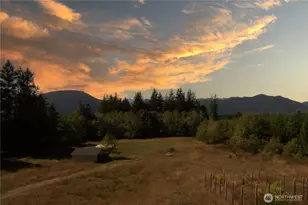 1812 Lindsay Hill Rd, Quilcene, WA 98376 - Photo 4