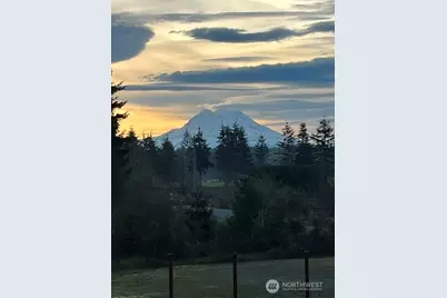 33114 40th Avenue S, Roy, WA 98580 - Photo 28