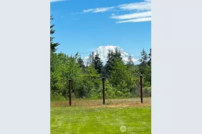 33114 40th Avenue S, Roy, WA 98580 - Photo 30