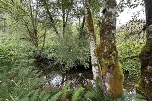 301 Langabeer Rd, Oakville, WA 98568 - Photo 14