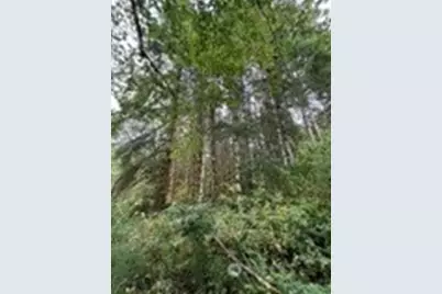 301 Langabeer Road, Oakville, WA 98568 - Photo 22