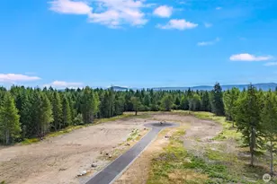 14118 Last Chance Ln SE, Yelm, WA 98597 - Photo 24