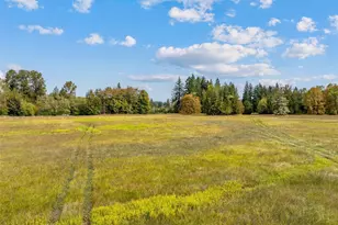 829 Gish Rd, Onalaska, WA 98570 - Photo 8