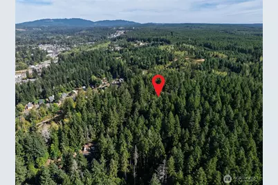 0 NE Wj Way, Belfair, WA 98528 - Photo 20