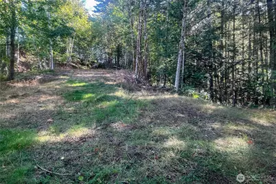 0 NE Wj Way, Belfair, WA 98528 - Photo 12