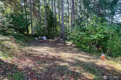 0 NE Wj Way, Belfair, WA 98528 - Photo 18