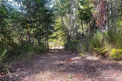 0 NE Wj Way, Belfair, WA 98528 - Photo 14