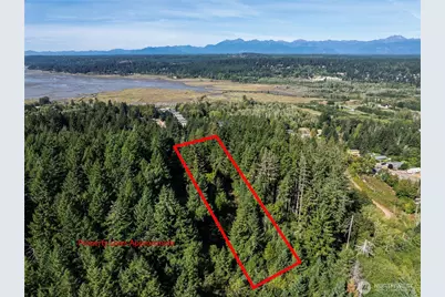 0 NE Wj Way, Belfair, WA 98528 - Photo 4